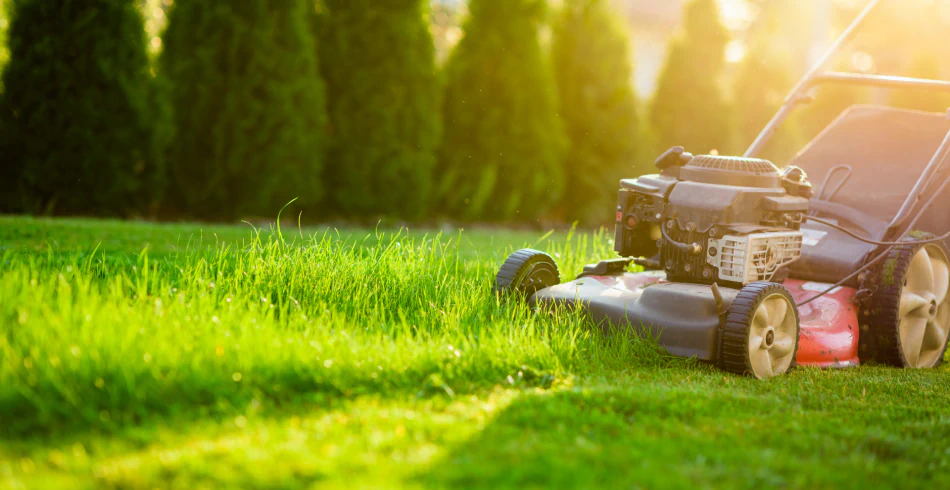 Lawn Maintenance Service (1)