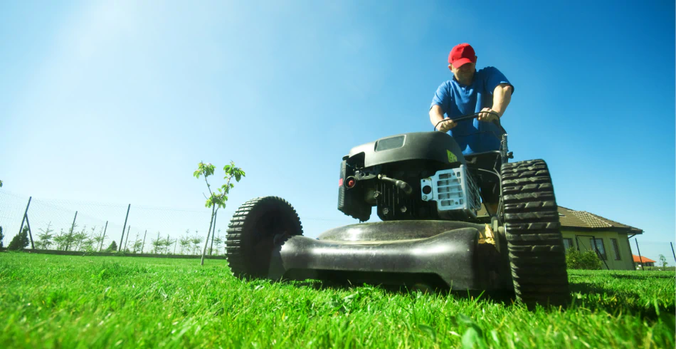 Lawn Maintenance Service