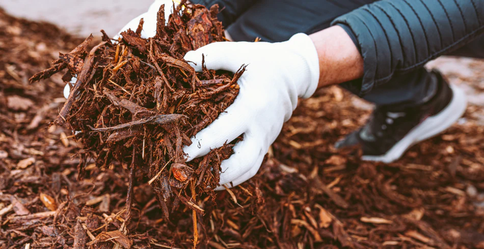 Mulch Installation Services (1) Mulch Installation Services (1)