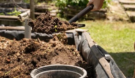 Mulch Installation Services