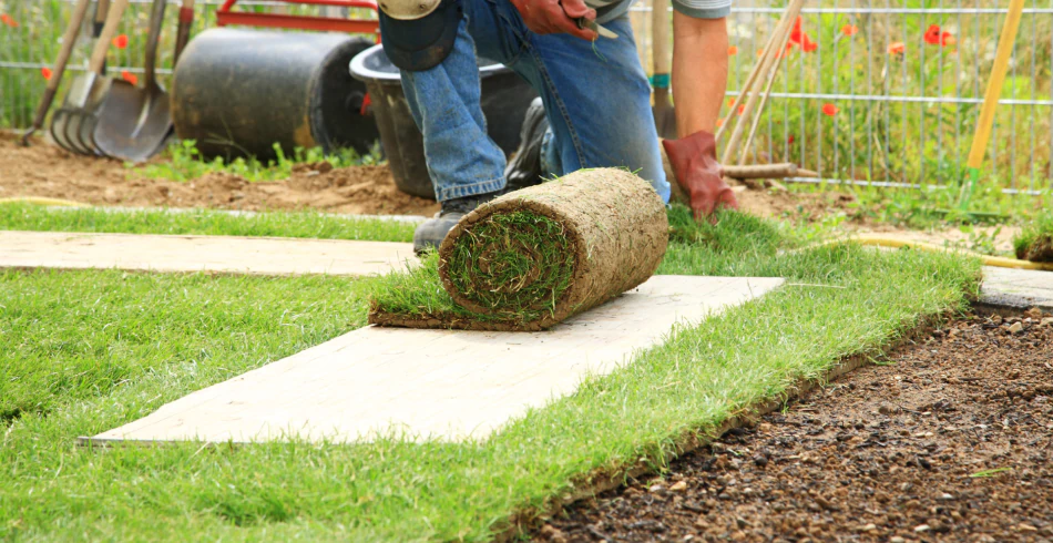 Sod Installation Services Sod Installation Services